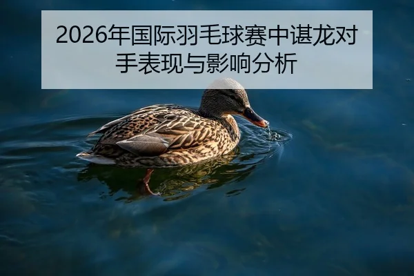 nian-guo-ji-yu-mao-qiu-sai-zhong-chen-long-dui-shou-biao-xian-yu-ying-xiang-fen-xi-2-723.jpg