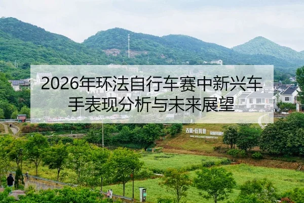 nian-huan-fa-zi-xing-che-sai-zhong-xin-xing-che-shou-biao-xian-fen-xi-yu-wei-lai-zhan-wang-2-426.jpg
