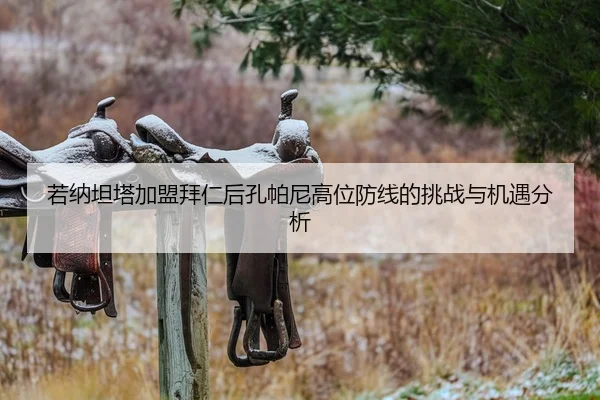 若纳坦塔加盟拜仁后孔帕尼高位防线的挑战与机遇分析