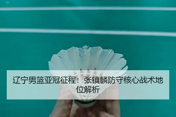 liao-ning-nan-lan-ya-guan-zheng-cheng-zhang-zhen-lin-fang-shou-he-xin-zhan-shu-di-wei-jie-xi-2-385.jpg