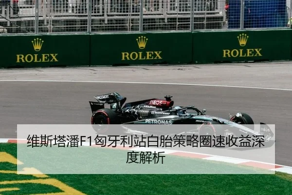 维斯塔潘F1匈牙利站白胎策略圈速收益深度解析